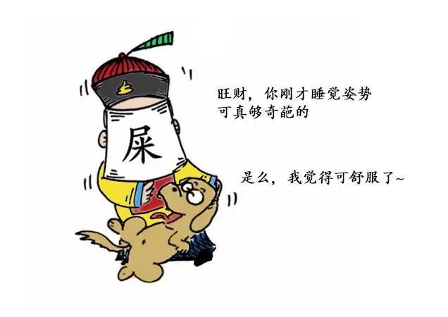从狗狗的睡姿 可以看到它对主人的信任度!