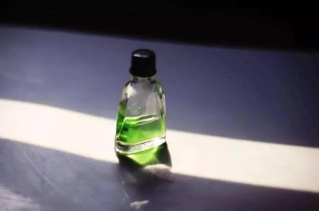 蚊虫季快来了!最全防蚊灭小强攻略在此
