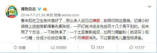蚊虫季快来了!最全防蚊灭小强攻略在此