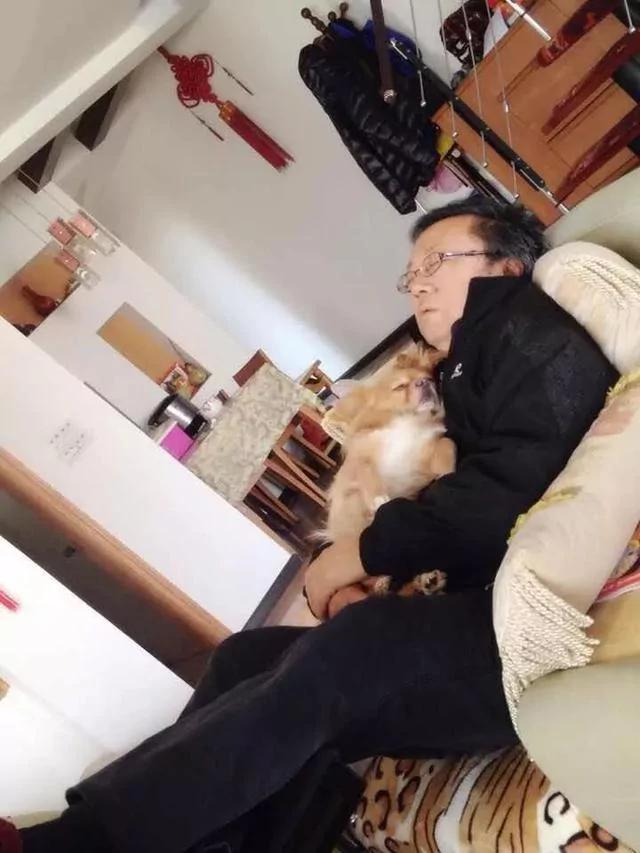 小狗崽没断奶 妈妈就被偷走了 天天半夜起来哭妈妈!