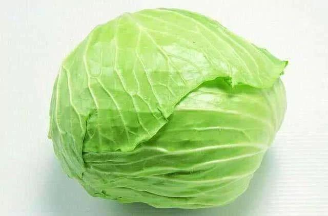 胃病的天然克星终于来了 坚持常吃点 胃病不复发 比药管用
