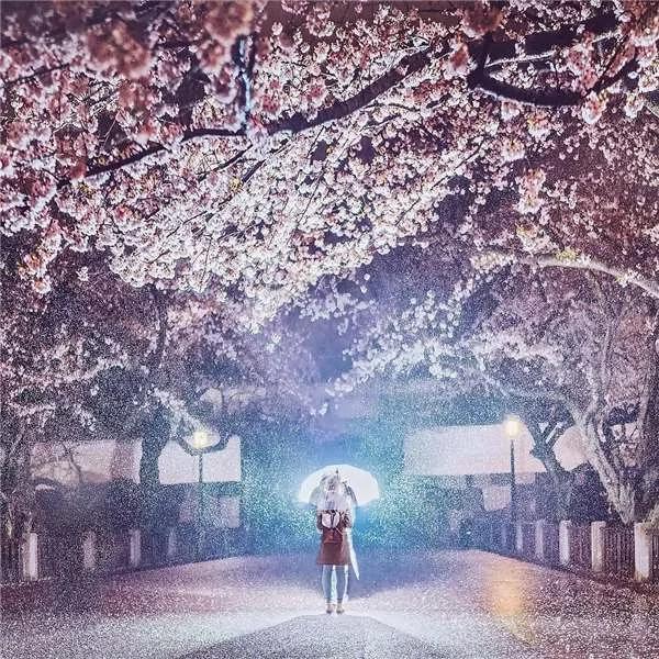 80后才女环游世界 在她镜头下的日本简直惊艳了所有人!