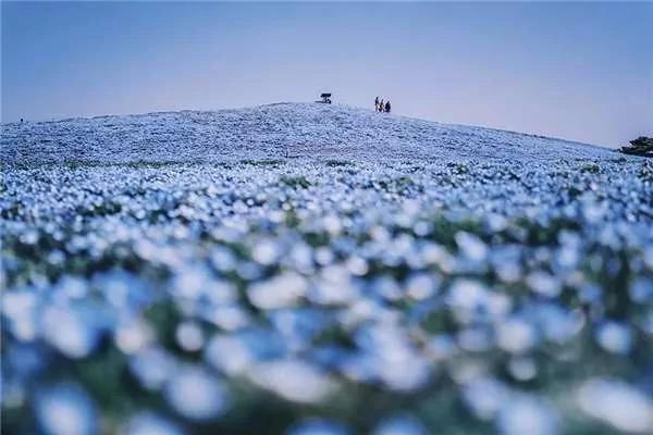 80后才女环游世界 在她镜头下的日本简直惊艳了所有人!