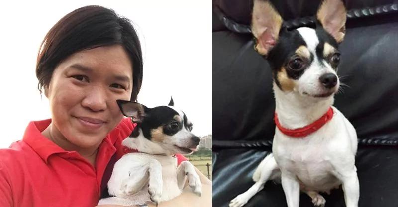 一位陌生壮汉抱着狗狗哭说:“拜托你抱抱它!” 背后原因暖哭!