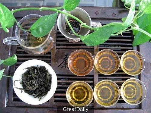 喝一种茶让口气清新!没错 就是它!看完就立刻冲一杯来喝吧!