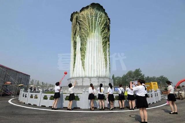 20米高巨型“大白菜”亮相邯郸 造型太逼真!