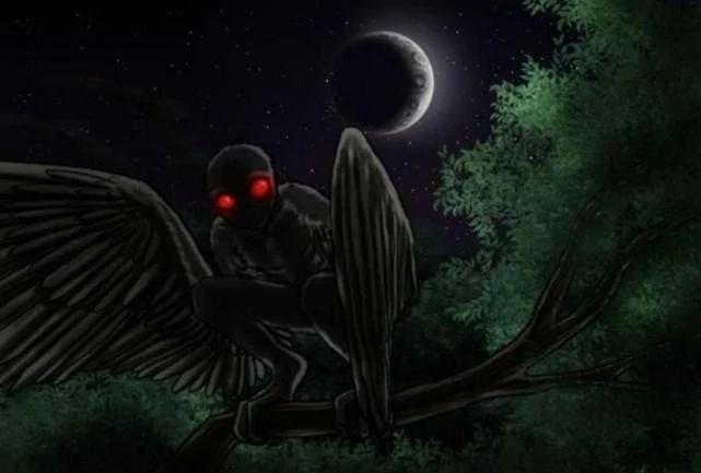揭秘比外星人还神秘的地球物种:半人半鸟会隐身