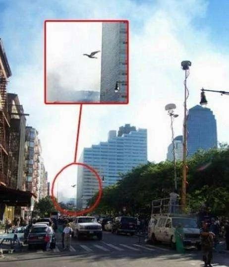 揭秘比外星人还神秘的地球物种:半人半鸟会隐身