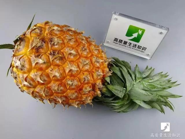 去皮小妙招:凤梨去皮竟这么简单 不用一分钟全变凤梨块!太实用了