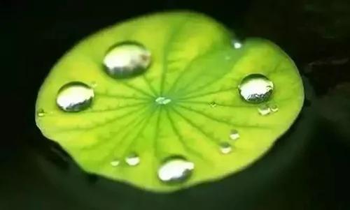 这10个细节看清你身边的是君子还是小人!