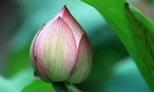 这10个细节看清你身边的是君子还是小人!