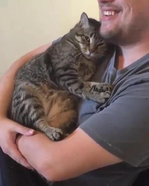 出差把猫咪寄养朋友家 再见面 猫咪的举动让主人心里好暖!