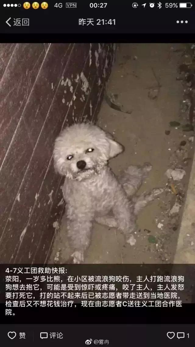 突然被自家狗咬了一口 要不要把狗丢掉?