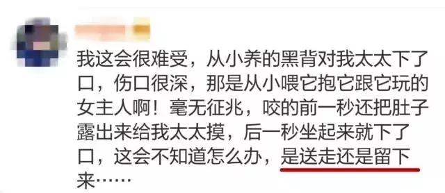 突然被自家狗咬了一口 要不要把狗丢掉?