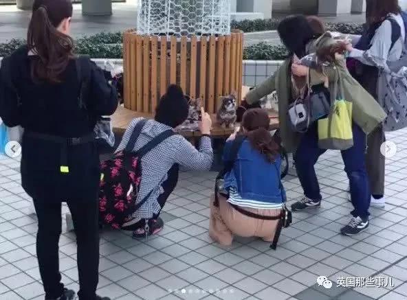 养一只超粘人超小只的狗狗…简直萌到犯规噜