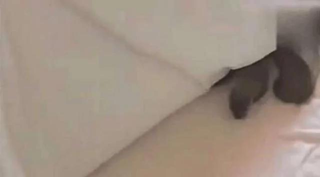 18岁女孩发现床上的被子不对劲 掀开被子吓得后退两步!