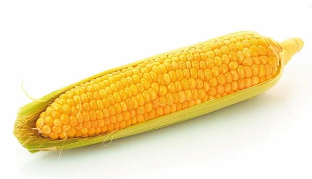 【世界肺癌月】10大顾肺食物 有助增进肺部健康