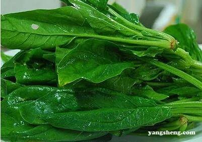 4个坏习惯彻底摧毁您的健康