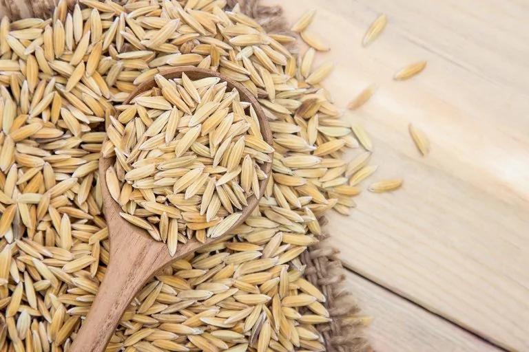 胆固醇可以随便吃 没有任何限制?国健署推「两类食物」对血管最好