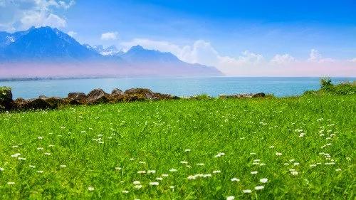 这十样东西必须放下 关系到你的人生!