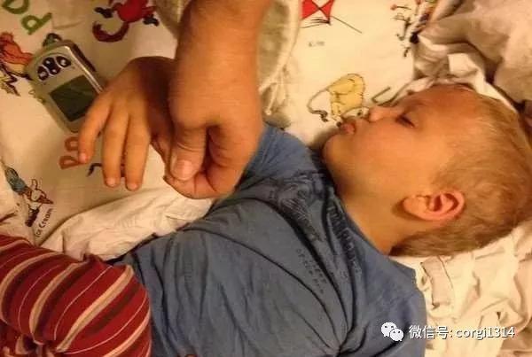 拉布拉多半夜一直狂吠 叫醒熟睡中的妈妈 它反常行为救了小主人!