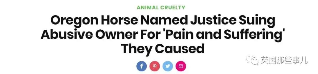 是真的!一匹马 把自己丧良心的主人告上了法庭!
