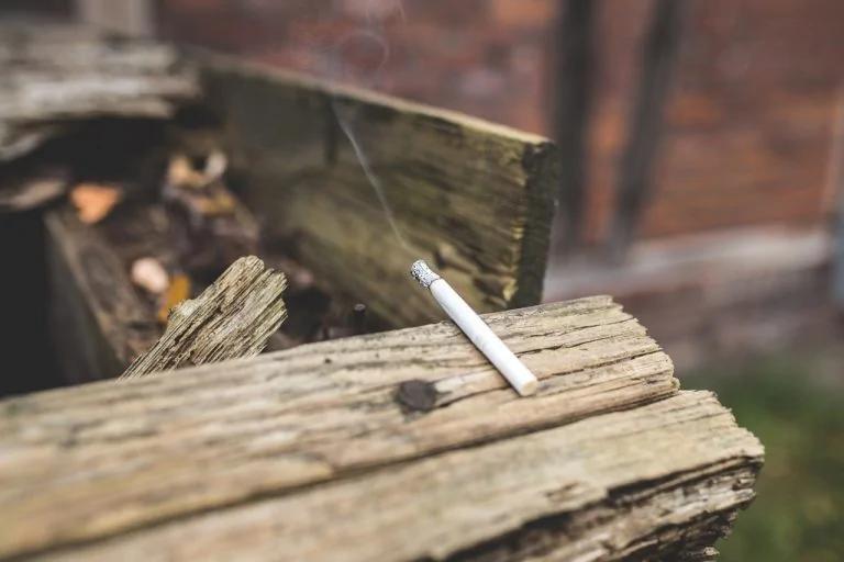 韩医特调1杯润肺退火:就用奇异果配它!
