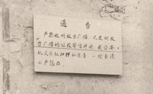 【老照片】学毛一样横渡长江的人 很多死于一种“杀人暗器”