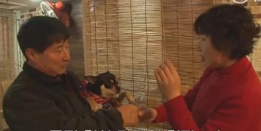 小狗抛弃原主人 自己选择新主人 邻居为此开讨论会!