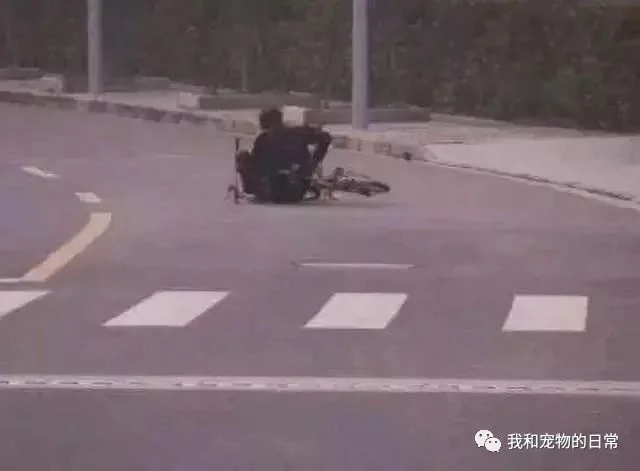 网友不信邪 决定骑车遛狗 结果车还在 狗也在 就是人不见了!