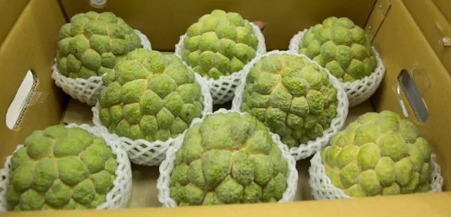 10大营养食物排行榜 居然有它