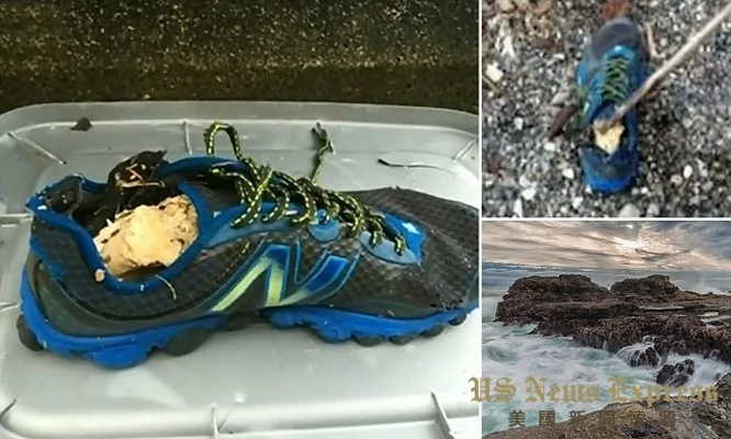 加拿大诡异人脚事件:已腐烂成森森白骨