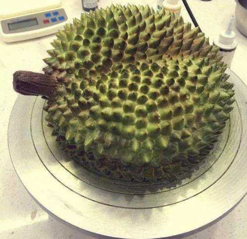 孩子花300块买了个榴莲被妈妈大骂败家子切开一看却泪目了 阿波罗新闻网