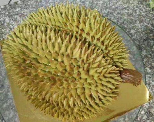 孩子花300块买了个榴莲被妈妈大骂败家子切开一看却泪目了 阿波罗新闻网