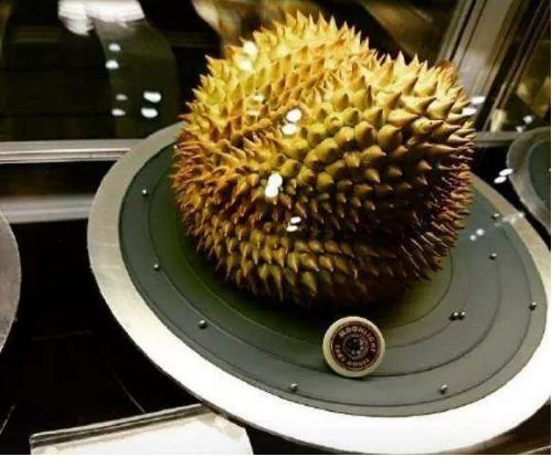 孩子花300块买了个榴莲 被妈妈大骂败家子 切开一看却泪目了