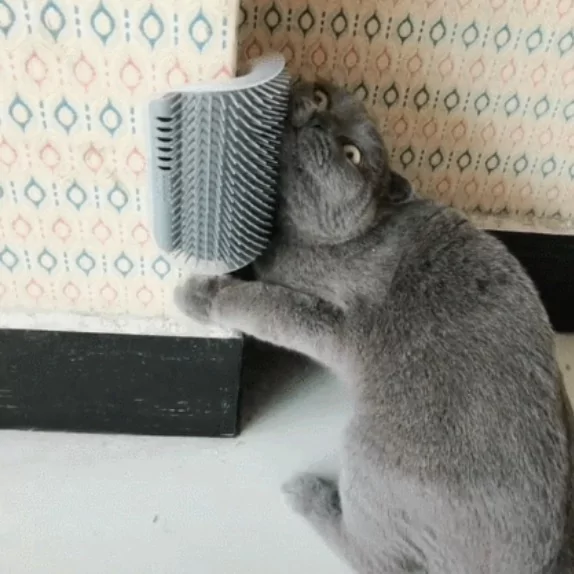 主人买了按摩器 猫咪超销魂表情 爽到翻白眼!