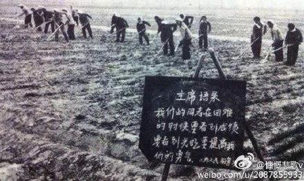 【揭秘】毛选告诫全党 不要到前线去充当抗日英雄
