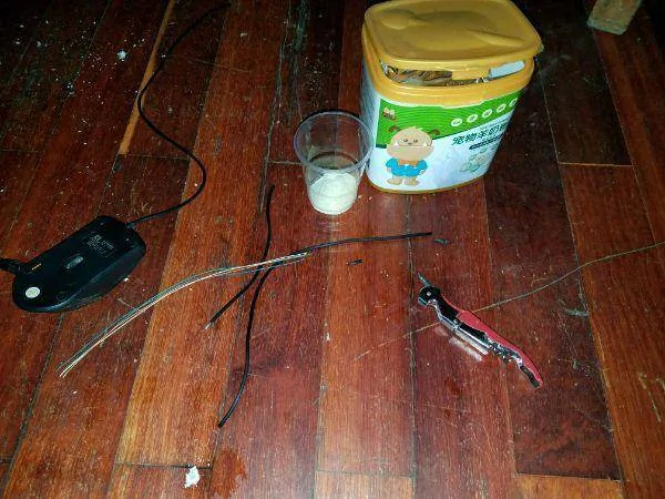 男子在下水道里救出一窝奶猫 带回家喂养一周后 猫咪竟然…