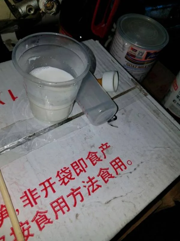 男子在下水道里救出一窝奶猫 带回家喂养一周后 猫咪竟然…
