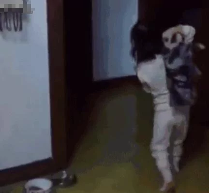 熊孩子把猫咪往肩上一扛就开走 猫咪:出来混 迟早要还的!