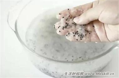 5种可爱的小盆栽 用吃剩下的种子种出来!再也不用买了~