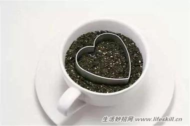 5种可爱的小盆栽 用吃剩下的种子种出来!再也不用买了~