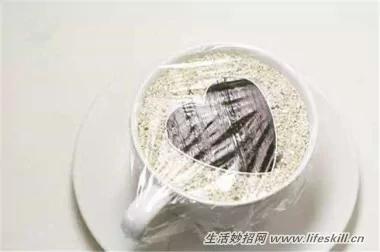 5种可爱的小盆栽 用吃剩下的种子种出来!再也不用买了~