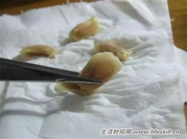 5种可爱的小盆栽 用吃剩下的种子种出来!再也不用买了~
