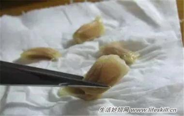 5种可爱的小盆栽 用吃剩下的种子种出来!再也不用买了~