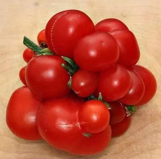 13个老菜农绝不外传的买菜技巧 太厉害了!