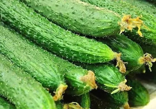 13个老菜农绝不外传的买菜技巧 太厉害了!
