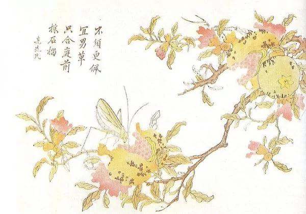 为什么女神手持石榴果?为什么唐女最爱石榴裙?为哪般“拜倒在石榴裙下”?