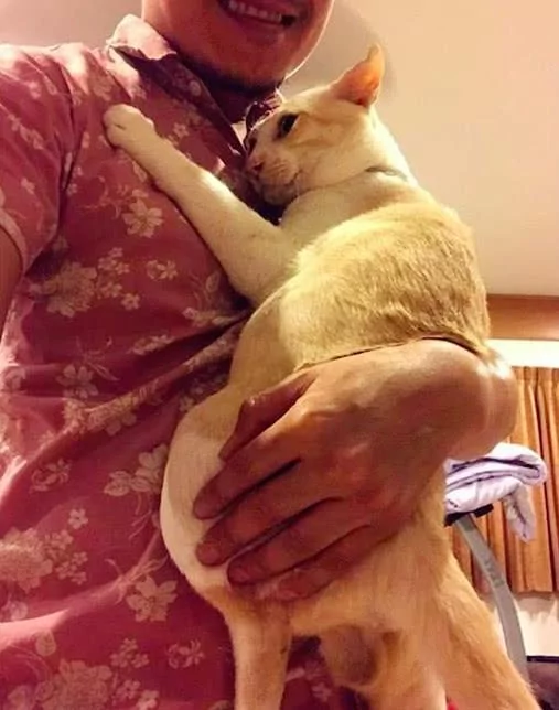男主人出差回家 猫咪立马飞扑抱紧紧 一脸委屈:不许你离开朕了!
