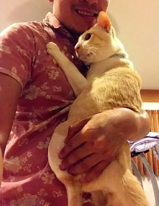 男主人出差回家 猫咪立马飞扑抱紧紧 一脸委屈:不许你离开朕了!